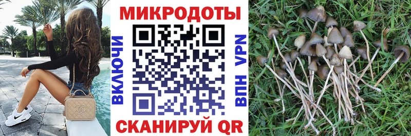 Псилоцибиновые грибы мицелий  наркотики  Ржев 